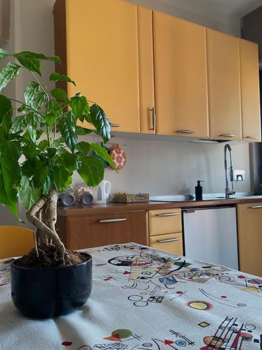 La Ramble Daire Torino Dış mekan fotoğraf